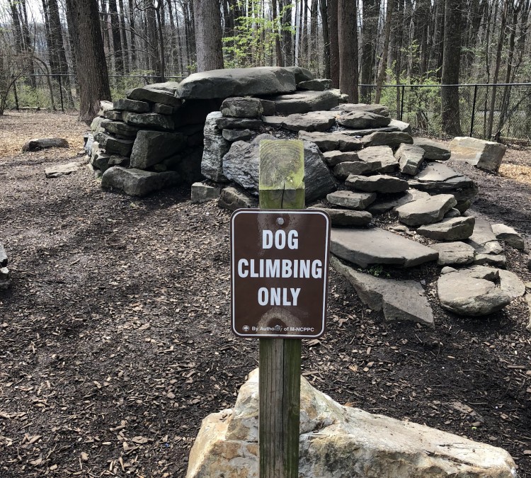 Dog Park at Cabin John Regional Park (Bethesda,&nbspMD)